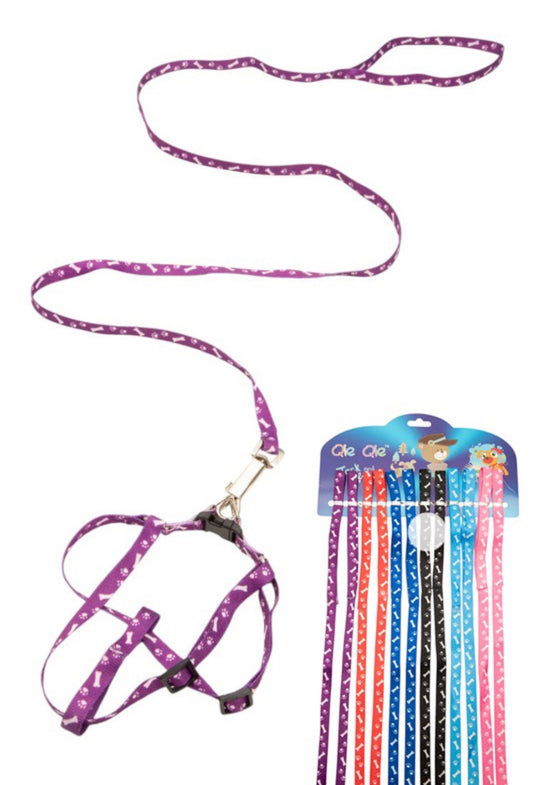 Quick Clip Leash Set