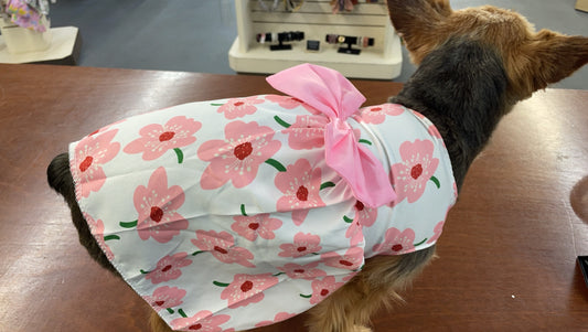 Doggy Bow Dress