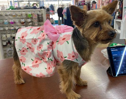 Doggy Bow Dress