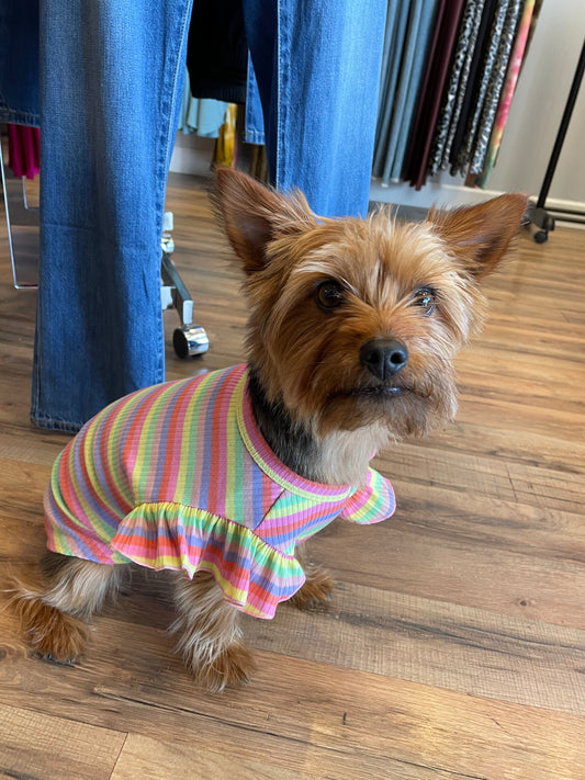 Ruffle Stripe Doggy Shirt