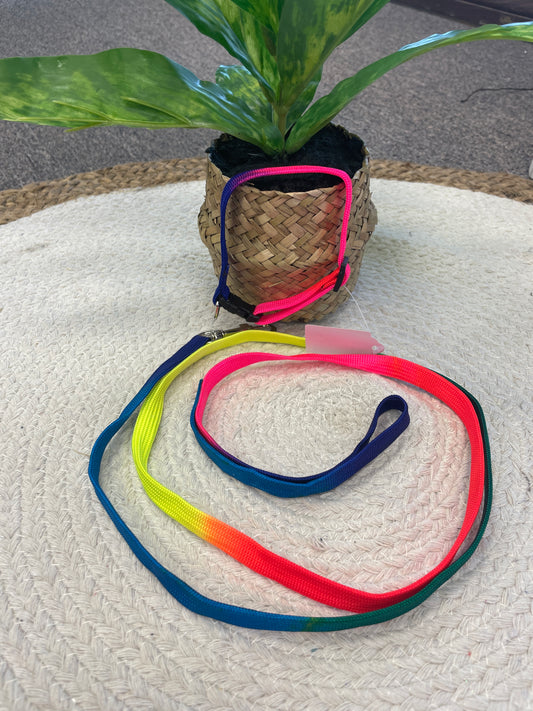 Rainbow Leash and Collar Set