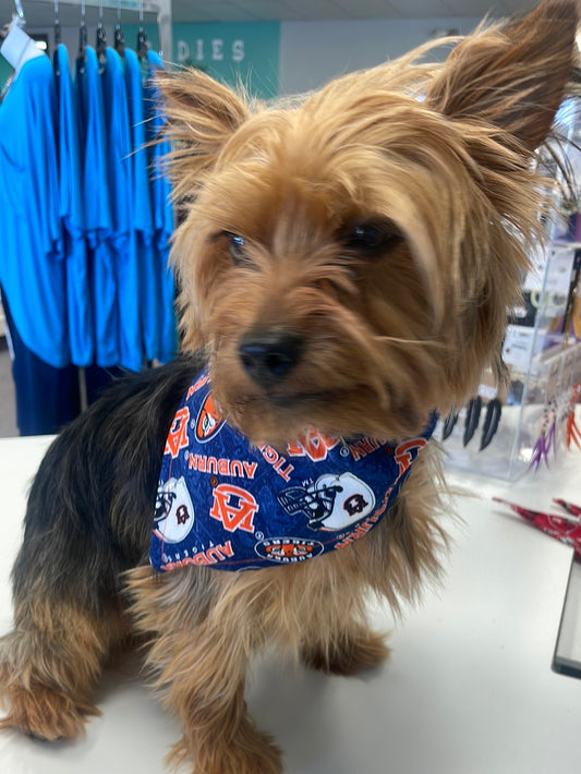 College Doggy Bandanas