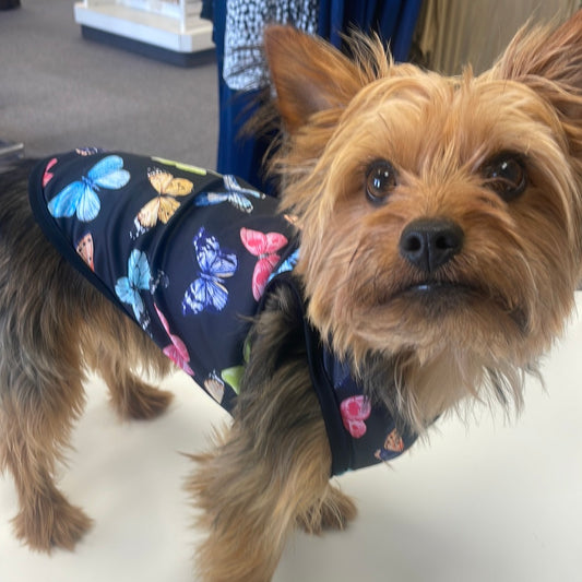 Butterfly Doggy Shirt
