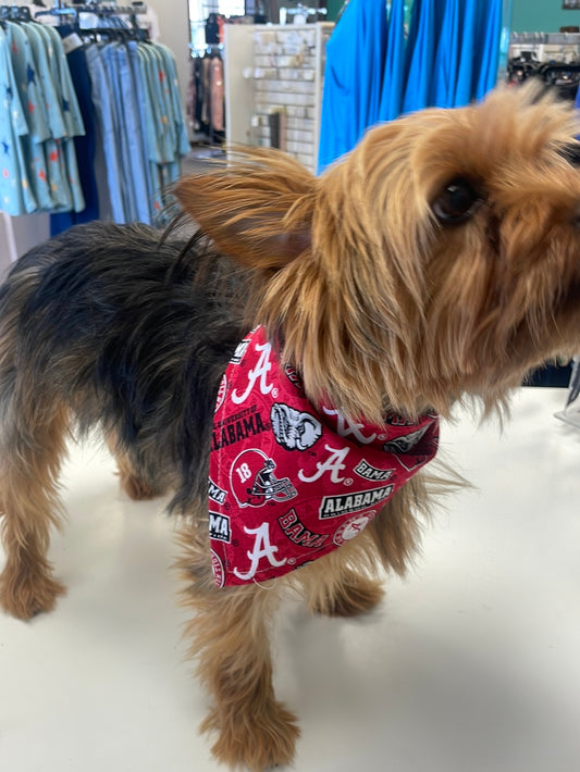 College Doggy Bandanas