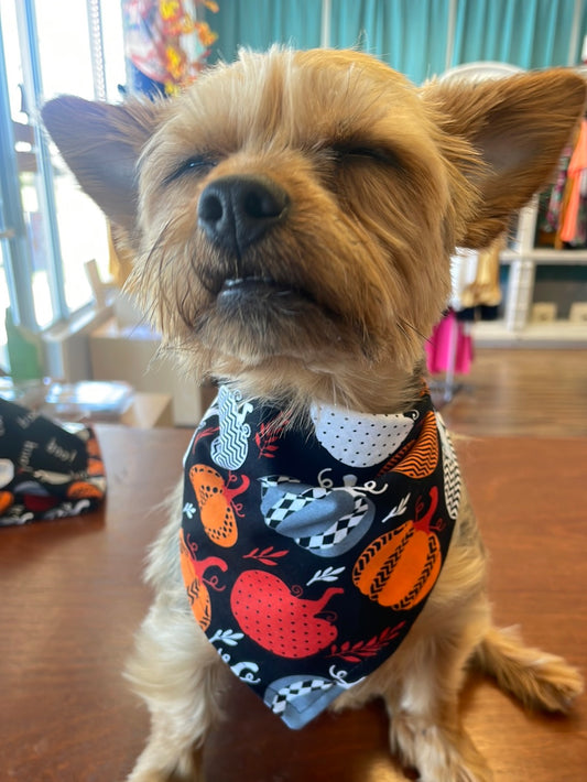Halloween Doggy Bandanas