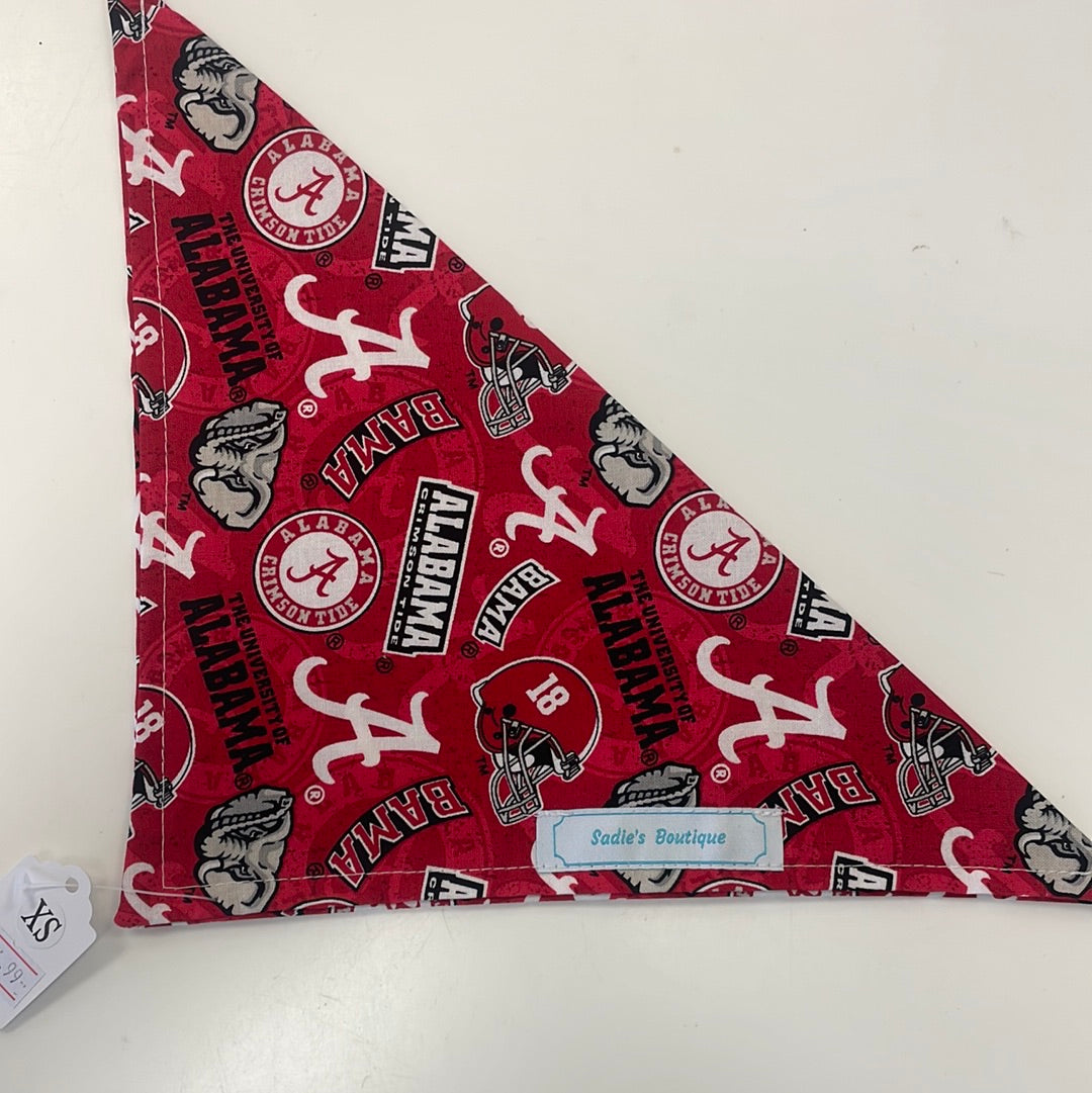 College Doggy Bandanas