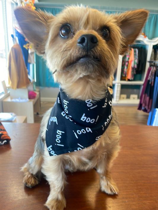 Halloween Doggy Bandanas