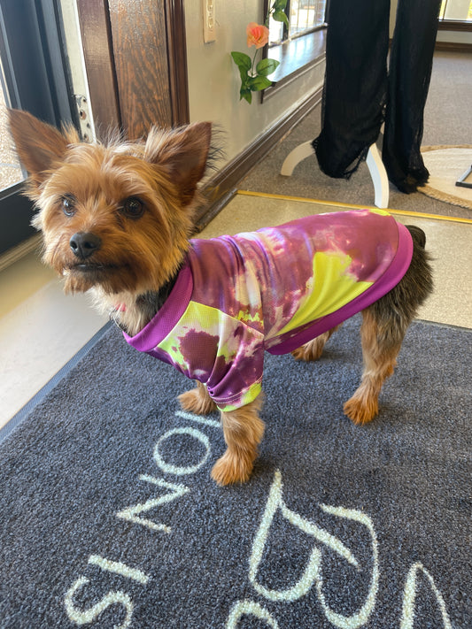 Doggy Tie Dye Jersey