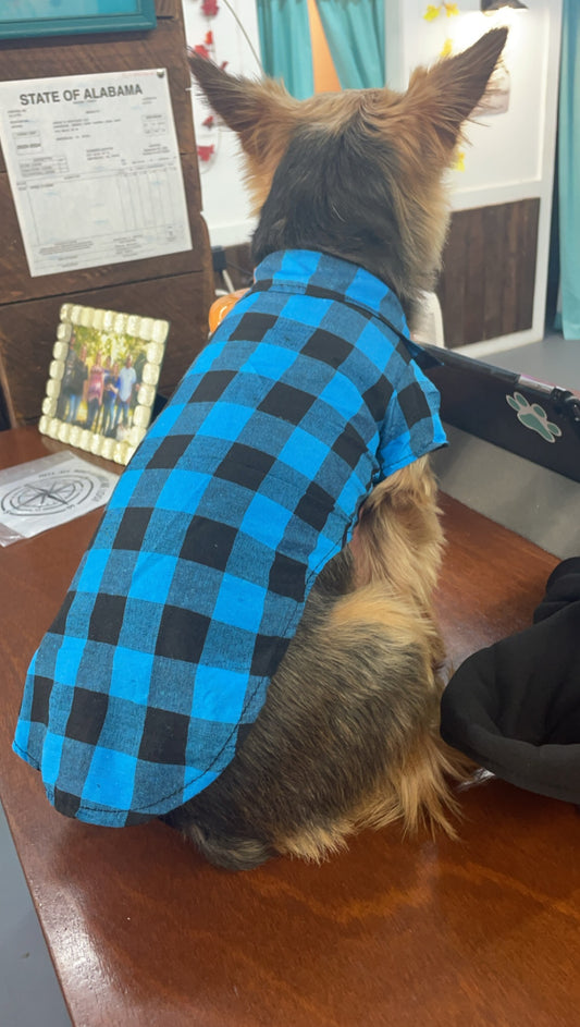 Plaid Bow Doggy Shirt