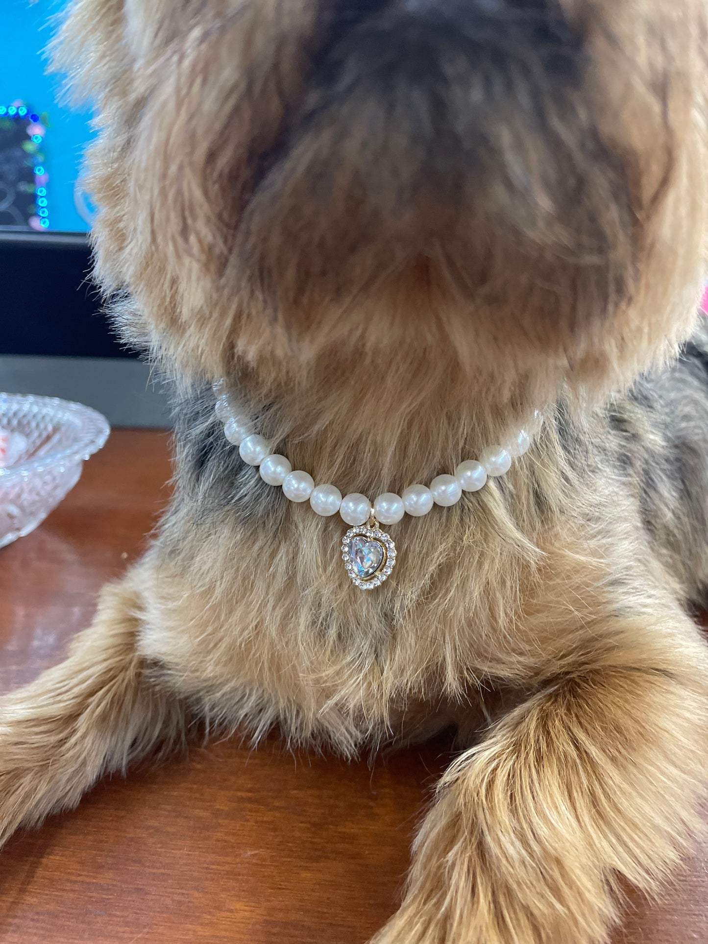 Doggy Pearl Necklace