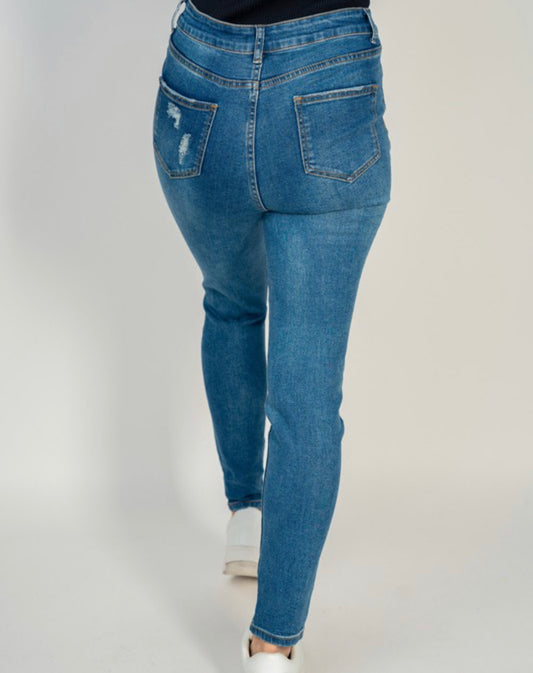 Distressed Skinny Jeans-Plus