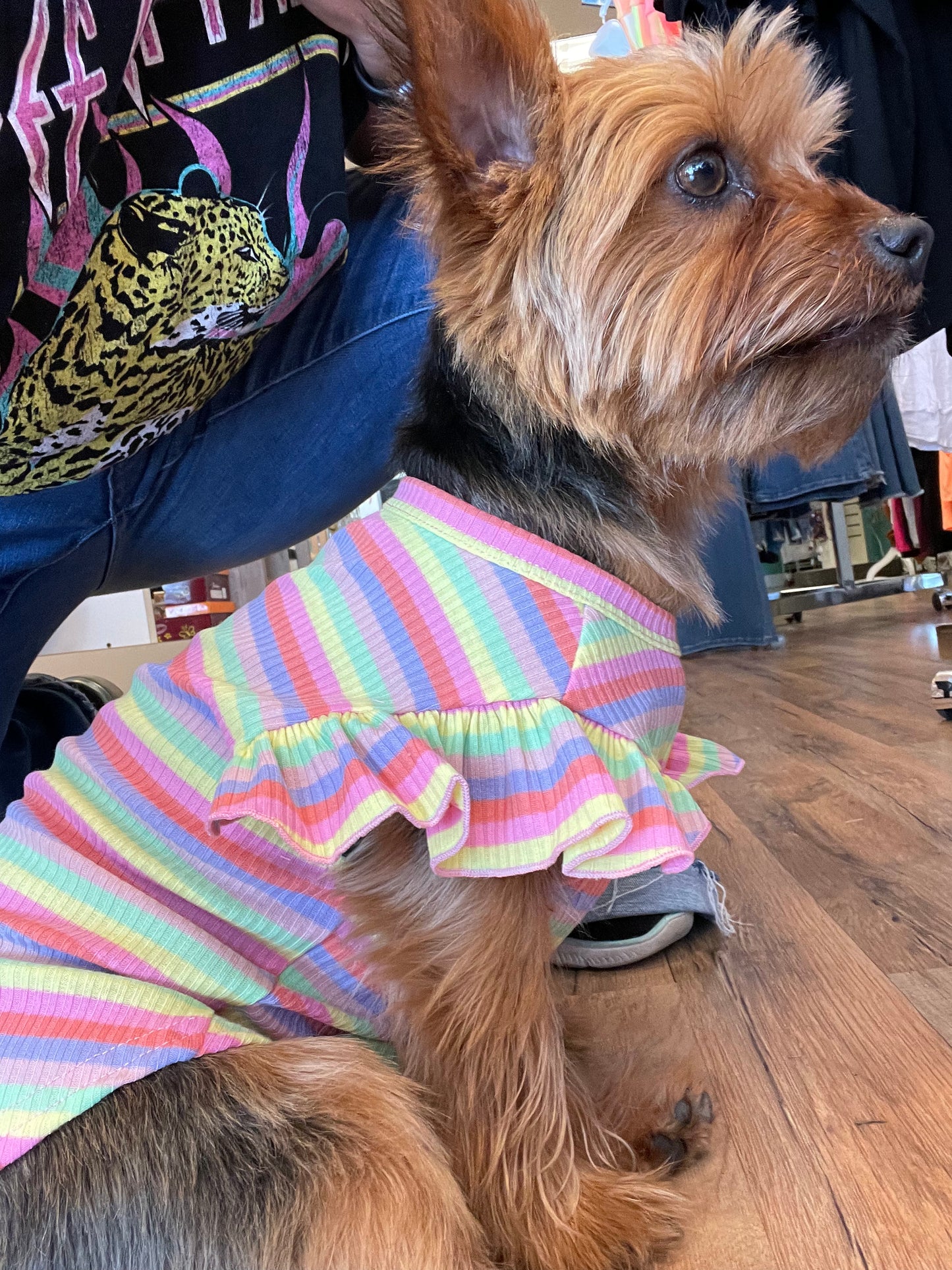 Ruffle Stripe Doggy Shirt